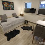 Rent 1 bedroom apartment of 20 m² in Bonn