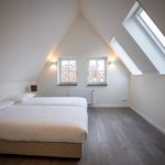 Rent 1 bedroom apartment of 50 m² in Eindhoven