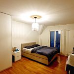 Rent 2 bedroom apartment in Luzern