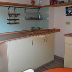 Rent 1 bedroom apartment of 45 m² in Biella