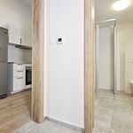 Rent 1 bedroom apartment of 28 m² in Kralupy nad Vltavou