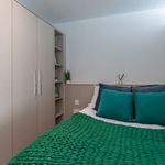 Rent 2 bedroom student apartment in Sheffield