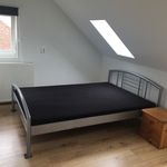 Rent 1 bedroom apartment of 45 m² in Schoondijke