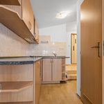 Rent 1 bedroom apartment of 56 m² in Náchod