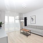 Rent 2 bedroom apartment of 43 m² in Toruń