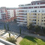 Rent 3 bedroom apartment of 58 m² in TOULOUSE
