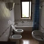Rent 4 bedroom apartment of 155 m² in Settingiano