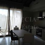 Rent 3 bedroom apartment of 75 m² in Caserta