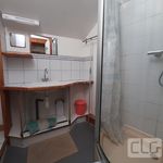 Rent 1 bedroom apartment of 27 m² in Pont-l'Abbé