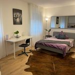 Miete 10 Schlafzimmer wohnung von 220 m² in München
