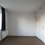 Kamer van 35 m² in Breda