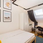 Rent 4 bedroom apartment in Praha