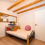 Miete 2 Schlafzimmer haus von 35 m² in Bonn