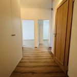 Rent 1 bedroom apartment of 50 m² in Ostrava