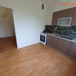 Rent 2 bedroom apartment of 55 m² in Karviná