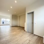 Huur 1 slaapkamer appartement van 300 m² in Tielt