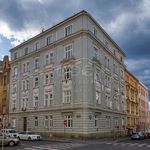 Rent 4 bedroom apartment of 110 m² in Praha