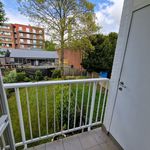 Rent 2 bedroom apartment of 80 m² in Wilrijk