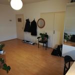 Rent 1 bedroom apartment of 27 m² in Karlsruhe