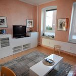Rent 2 bedroom apartment of 44 m² in Kiel