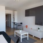 Appartement de 24 m² avec 1 chambre(s) en location à Périgueux
