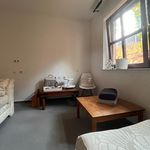 Rent 2 bedroom apartment of 38 m² in Rödermark