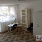 Rent 3 bedroom apartment of 30 m² in Prague