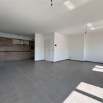 Rent 3 bedroom apartment of 114 m² in Wetteren