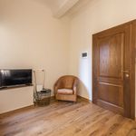 Rent 1 bedroom apartment of 55 m² in Firenze