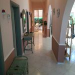 Affitto 4 camera appartamento di 100 m² in Alba Adriatica