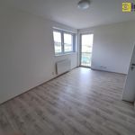 Rent 2 bedroom apartment of 58 m² in Mýto