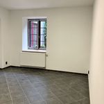 Rent 1 bedroom apartment in Písek