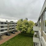Rent 4 bedroom apartment of 80 m² in Zwolle