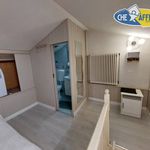 Rent 3 bedroom apartment of 60 m² in Massa