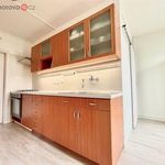 Rent 3 bedroom apartment of 60 m² in Brno
