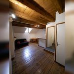  appartement avec 1 chambre(s) en location à Chambéry