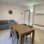 Rent 2 bedroom apartment of 58 m² in Lendinara