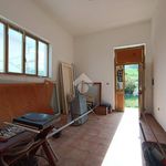 Affitto 1 camera appartamento di 241 m² in Pineto