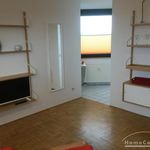 Miete 1 Schlafzimmer wohnung von 30 m² in Meckenheim