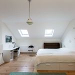 Louez une chambre de 500 m² à Sint-Joost-ten-Node