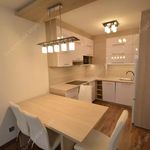 Rent 2 bedroom apartment of 48 m² in Budapest