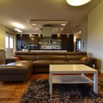 Wynajmij 5 sypialnię apartament z 133 m² w Kielce