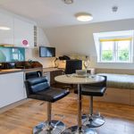 Rent 1 bedroom student apartment of 23 m² in Exeter