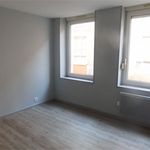 Rent 1 bedroom apartment of 28 m² in Saint-Nicolas-de-Port