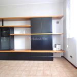 Rent 4 bedroom apartment of 110 m² in Rozzano
