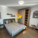 Rent 1 bedroom apartment of 45 m² in Bakov nad Jizerou