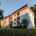 Rent 2 bedroom apartment of 66 m² in Graz