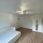 Miete 1 Schlafzimmer wohnung von 120 m² in München
