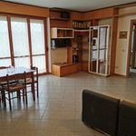 Rent 2 bedroom apartment of 115 m² in Roma