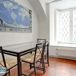 Rent 2 bedroom apartment of 43 m² in Rome
